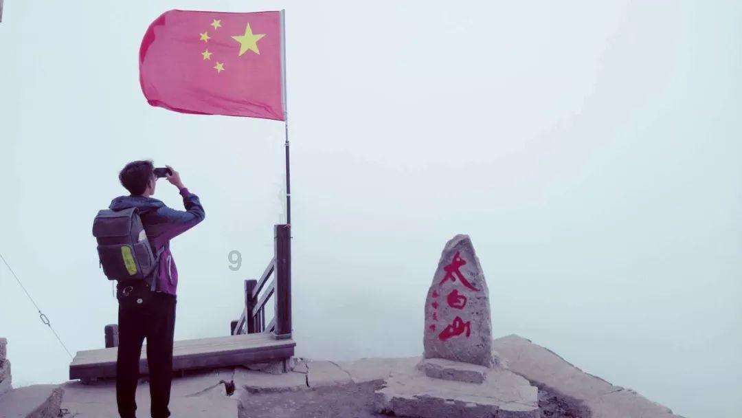 超能动物联盟