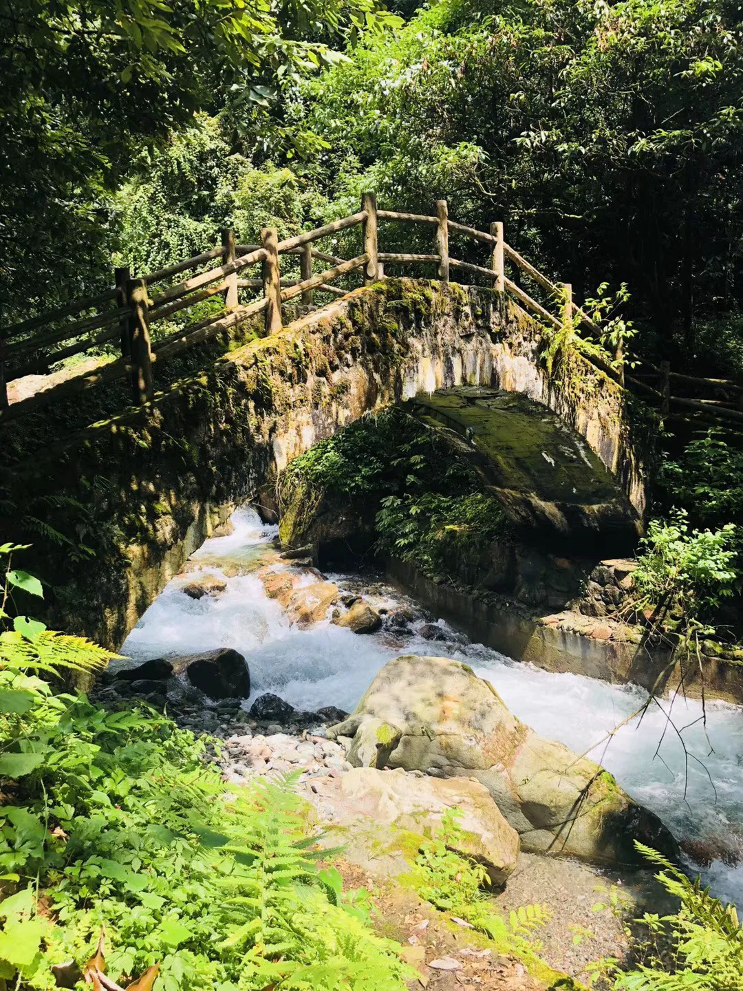 食为略